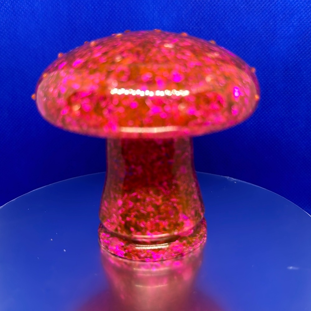 Homemade/handmade resin mushroom that has beautiful glow under UV light.
